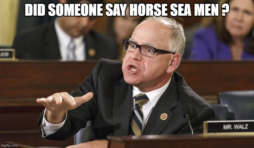 Tim Walz | DID SOMEONE SAY HORSE SEA MEN ? | image tagged in tim walz | made w/ Imgflip meme maker