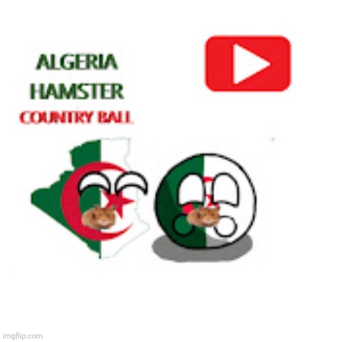 Me | image tagged in algeria hamster country ball | made w/ Imgflip meme maker