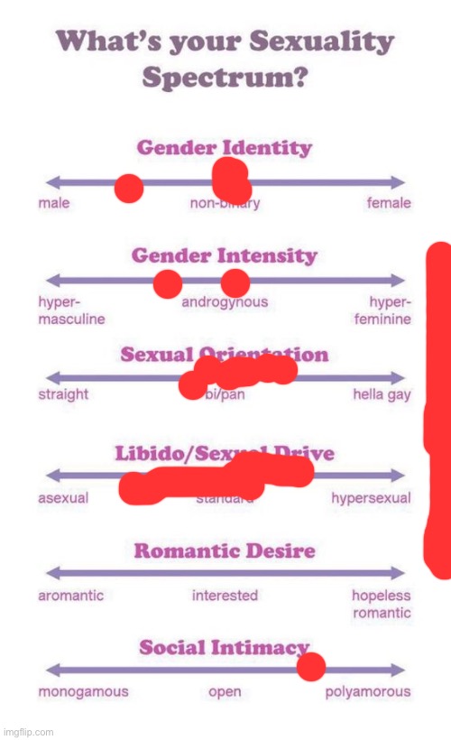 It’s bad bc I’m on the bus | image tagged in what's your sexuality spectrum | made w/ Imgflip meme maker