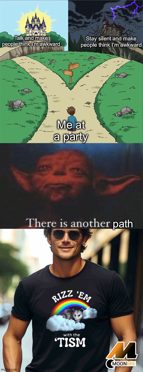 Rizz ‘em | Talk and make people think I’m awkward; Stay silent and make people think I’m awkward; Me at a party; path | image tagged in two paths,yoda there is another,rizz,autism | made w/ Imgflip meme maker