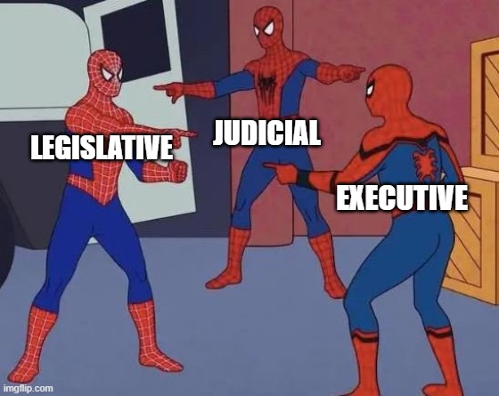 3 Spiderman Pointing | JUDICIAL; LEGISLATIVE; EXECUTIVE | image tagged in 3 spiderman pointing | made w/ Imgflip meme maker