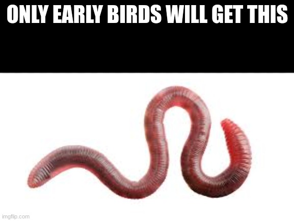 worm | ONLY EARLY BIRDS WILL GET THIS | image tagged in worms | made w/ Imgflip meme maker