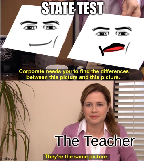 They're The Same Picture | STATE TEST; The Teacher | image tagged in memes,they're the same picture | made w/ Imgflip meme maker