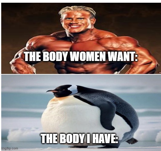 THE BODY WOMEN WANT:; THE BODY I HAVE: | made w/ Imgflip meme maker