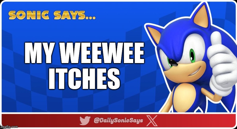 Sonic Says #35 | MY WEEWEE ITCHES | image tagged in sonic says v3 | made w/ Imgflip meme maker