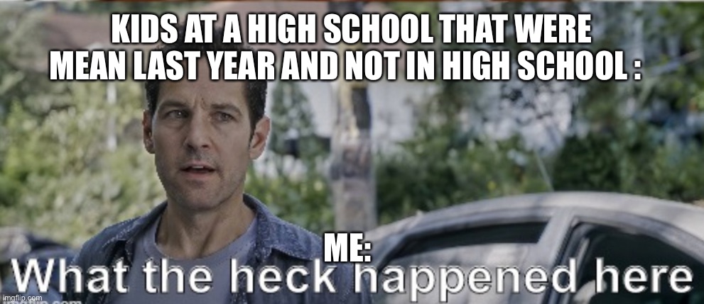 antman what the heck happened here | KIDS AT A HIGH SCHOOL THAT WERE MEAN LAST YEAR AND NOT IN HIGH SCHOOL :; ME: | image tagged in antman what the heck happened here | made w/ Imgflip meme maker