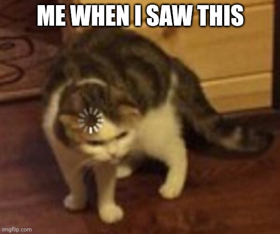 Loading cat | ME WHEN I SAW THIS | image tagged in loading cat | made w/ Imgflip meme maker