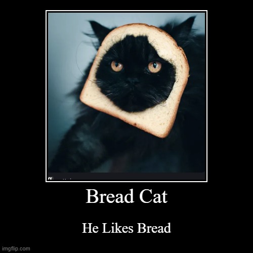 Bread Cat | He Likes Bread | image tagged in funny,demotivationals | made w/ Imgflip demotivational maker