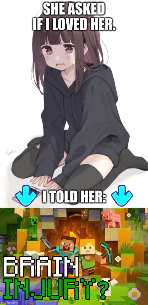 image tagged in she asked if i loved her,minecraft brain injury | made w/ Imgflip meme maker