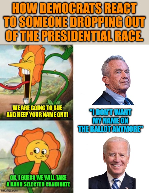 Sunflower | HOW DEMOCRATS REACT TO SOMEONE DROPPING OUT OF THE PRESIDENTIAL RACE. WE ARE GOING TO SUE AND KEEP YOUR NAME ON!!! "I DON'T WANT MY NAME ON THE BALLOT ANYMORE"; OK, I GUESS WE WILL TAKE A HAND SELECTED CANDIDATE | image tagged in sunflower | made w/ Imgflip meme maker