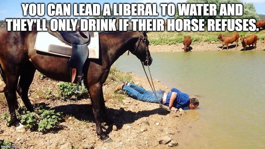 You can lead a -blank- to water | YOU CAN LEAD A LIBERAL TO WATER AND THEY'LL ONLY DRINK IF THEIR HORSE REFUSES. | image tagged in you can lead a -blank- to water | made w/ Imgflip meme maker