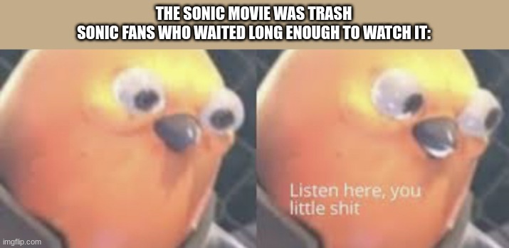 listen here, sick f*** | THE SONIC MOVIE WAS TRASH
SONIC FANS WHO WAITED LONG ENOUGH TO WATCH IT: | image tagged in listen here you little shit bird | made w/ Imgflip meme maker