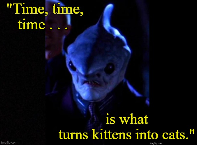 So true! | "Time, time, time . . . is what turns kittens into cats." | image tagged in cats,time,shark,buffy the vampire slayer,truth,quotes | made w/ Imgflip meme maker