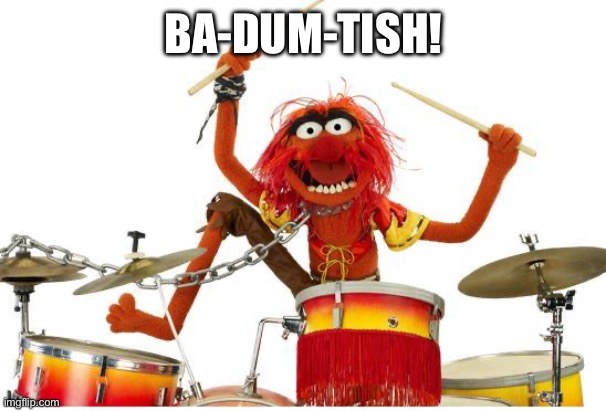 animal drums | BA-DUM-TISH! | image tagged in animal drums | made w/ Imgflip meme maker