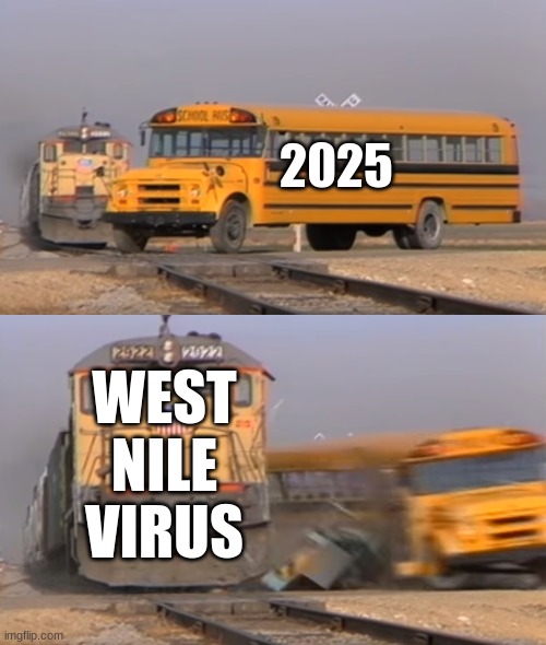 it hasnt been 100 years yet dude.. | 2025; WEST NILE VIRUS | image tagged in a train hitting a school bus | made w/ Imgflip meme maker