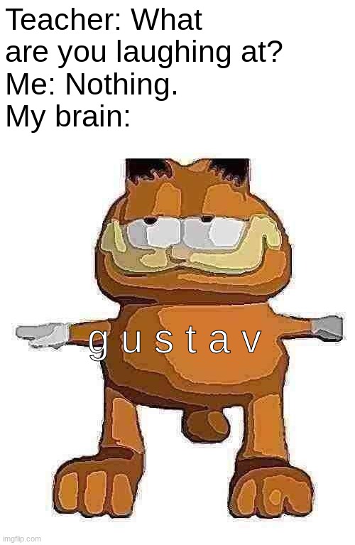 gustav | Teacher: What are you laughing at?
Me: Nothing.
My brain:; g u s t a v | image tagged in gustav | made w/ Imgflip meme maker