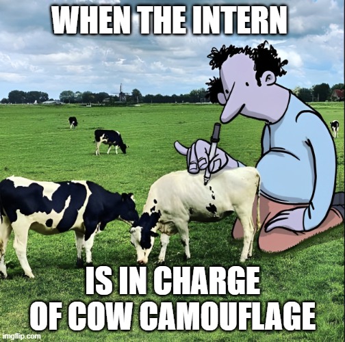 internship | WHEN THE INTERN; IS IN CHARGE OF COW CAMOUFLAGE | image tagged in internship,memes,funny,camouflage,front page plz,hilarious memes | made w/ Imgflip meme maker