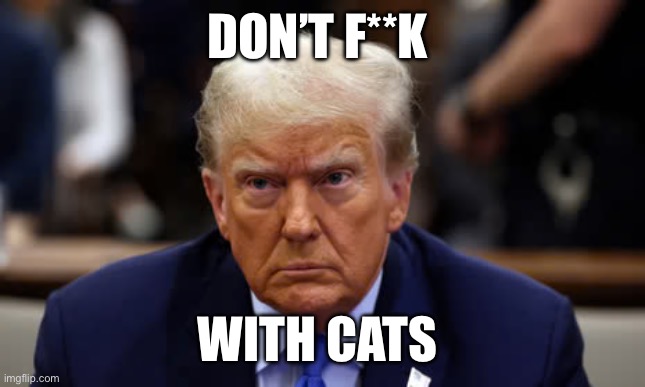 Trump | DON’T F**K; WITH CATS | image tagged in fun memes | made w/ Imgflip meme maker