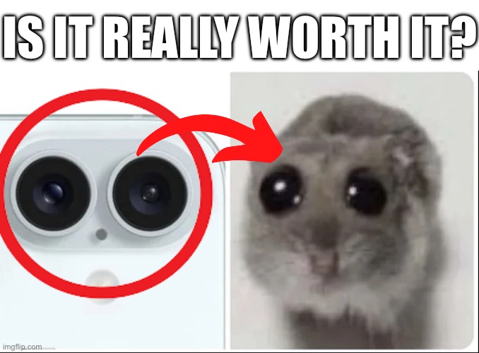 IS IT REALLY WORTH IT? | image tagged in is it really worth it,iphone,iphone 16,rat,oh,rat rat | made w/ Imgflip meme maker