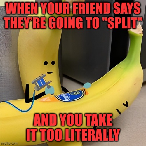 split | WHEN YOUR FRIEND SAYS THEY’RE GOING TO "SPLIT"; AND YOU TAKE IT TOO LITERALLY | image tagged in memes | made w/ Imgflip meme maker