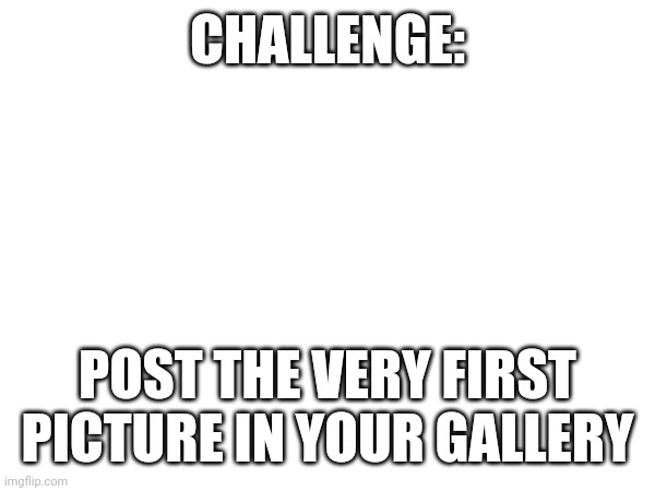 I'll go first | CHALLENGE:; POST THE VERY FIRST PICTURE IN YOUR GALLERY | image tagged in msmg | made w/ Imgflip meme maker