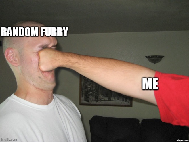 Face punch | ME RANDOM FURRY | image tagged in face punch | made w/ Imgflip meme maker