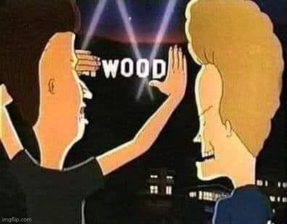 WODD! | image tagged in hollywood,beavis and butthead,puns,wood,woody,memes | made w/ Imgflip meme maker