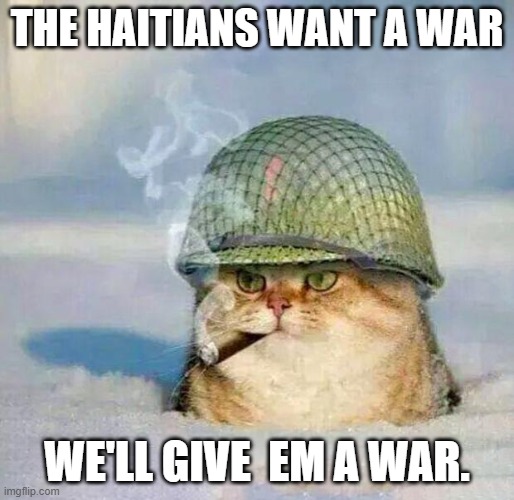 Cannibalism on cats | THE HAITIANS WANT A WAR; WE'LL GIVE  EM A WAR. | image tagged in war cat,haiti,cannibalism,democrats | made w/ Imgflip meme maker