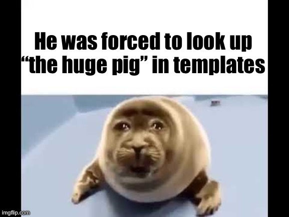 he was forced to eat cement | He was forced to look up “the huge pig” in templates | image tagged in he was forced to eat cement | made w/ Imgflip meme maker