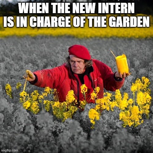 internship | WHEN THE NEW INTERN IS IN CHARGE OF THE GARDEN | image tagged in memes | made w/ Imgflip meme maker