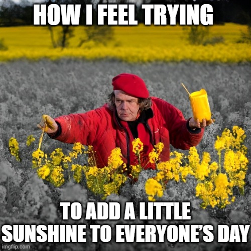 sunshine | HOW I FEEL TRYING; TO ADD A LITTLE SUNSHINE TO EVERYONE’S DAY | image tagged in memes | made w/ Imgflip meme maker