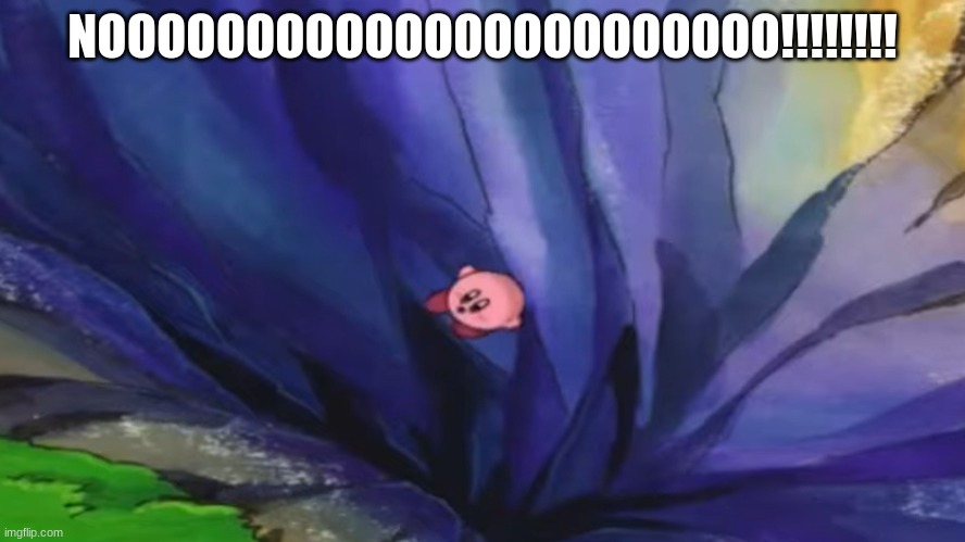 Kirby falling off a cliff (blank template) | NOOOOOOOOOOOOOOOOOOOOOOO!!!!!!!! | image tagged in kirby falling off a cliff blank template | made w/ Imgflip meme maker