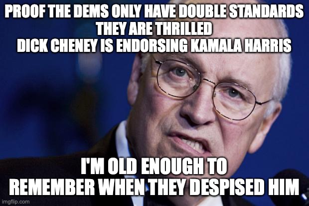 scumbag dick cheney | PROOF THE DEMS ONLY HAVE DOUBLE STANDARDS
THEY ARE THRILLED DICK CHENEY IS ENDORSING KAMALA HARRIS; I'M OLD ENOUGH TO REMEMBER WHEN THEY DESPISED HIM | image tagged in scumbag dick cheney | made w/ Imgflip meme maker