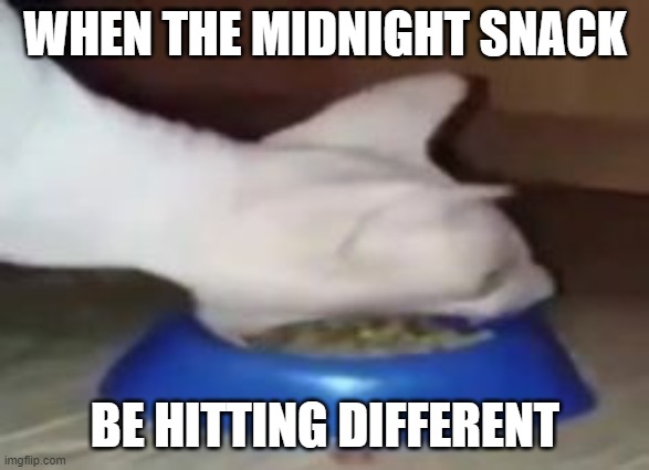 yummy | WHEN THE MIDNIGHT SNACK; BE HITTING DIFFERENT | image tagged in cat meme | made w/ Imgflip meme maker