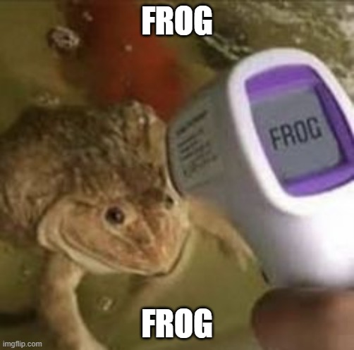 Frog | FROG; FROG | image tagged in frog | made w/ Imgflip meme maker