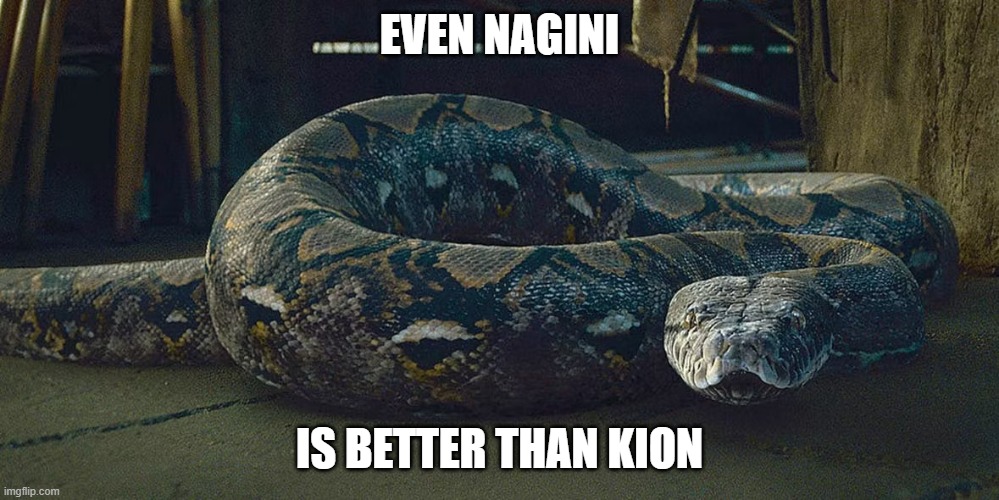 Nagini | EVEN NAGINI; IS BETTER THAN KION | image tagged in nagini | made w/ Imgflip meme maker