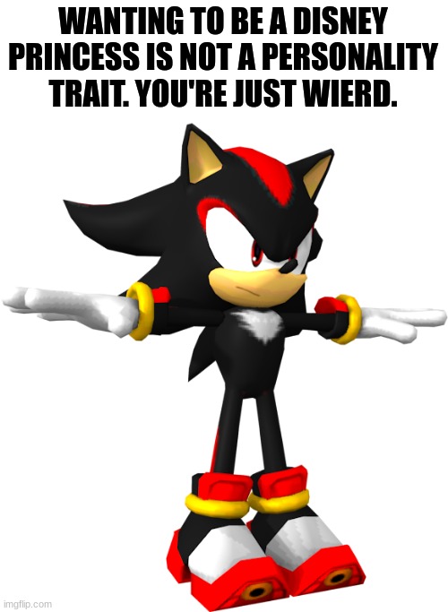 shadow the hedgehog t pose | WANTING TO BE A DISNEY PRINCESS IS NOT A PERSONALITY TRAIT. YOU'RE JUST WIERD. | image tagged in shadow the hedgehog t pose | made w/ Imgflip meme maker