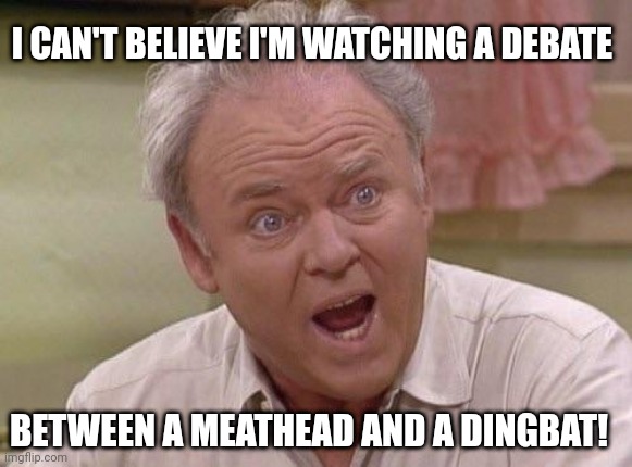 Archie Bunker | I CAN'T BELIEVE I'M WATCHING A DEBATE; BETWEEN A MEATHEAD AND A DINGBAT! | image tagged in archie bunker,debate,presidential debate | made w/ Imgflip meme maker