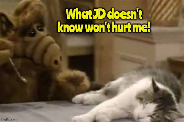 Aliens eating cats? | What JD doesn't know won't hurt me! | image tagged in jd vance fascist fairy tales,maga propaganda,alf loves cats,jd bs,maga mistake,taylor swift cats | made w/ Imgflip meme maker