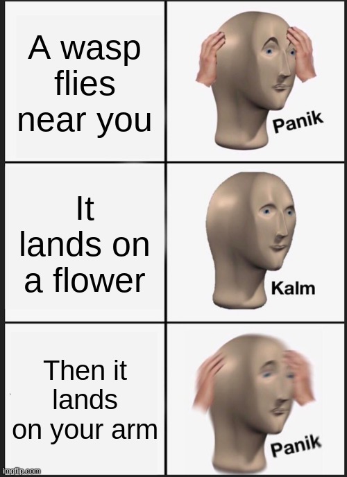 Panik Kalm Panik | A wasp flies near you; It lands on a flower; Then it lands on your arm | image tagged in memes,panik kalm panik | made w/ Imgflip meme maker