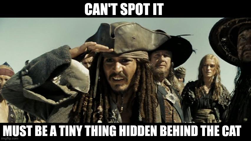 CAN'T SPOT IT MUST BE A TINY THING HIDDEN BEHIND THE CAT | made w/ Imgflip meme maker