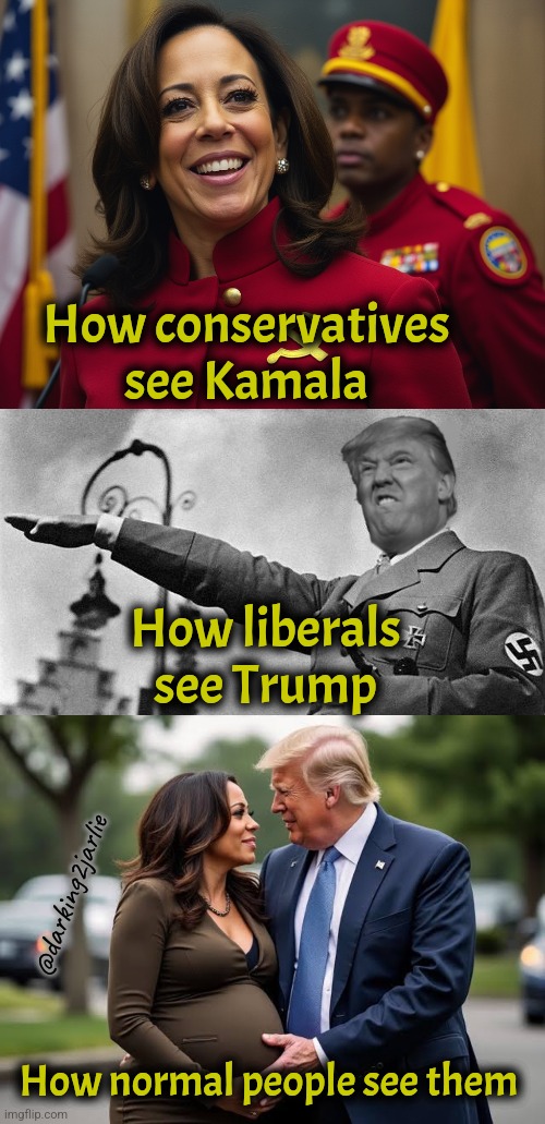 That sexual tension between is alarming | How conservatives see Kamala; How liberals see Trump; @darking2jarlie; How normal people see them | image tagged in communist kamala,trump,kamala harris,donald trump,liberals,conservatives | made w/ Imgflip meme maker