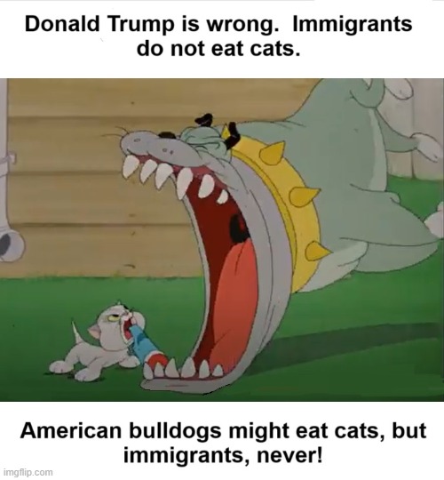 Cat Eating Bad Luck Blackie Donald Trump | image tagged in cat eating,bad luck blackie,kitten,bulldog,i hate donald trump,trump sucks | made w/ Imgflip meme maker