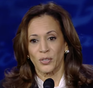 Kamala Harris Blank Meme Template