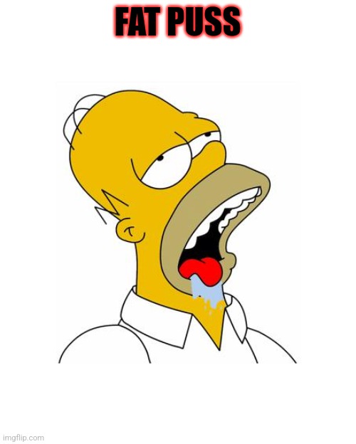 Homer Simpson Drooling | FAT PUSS | image tagged in homer simpson drooling | made w/ Imgflip meme maker