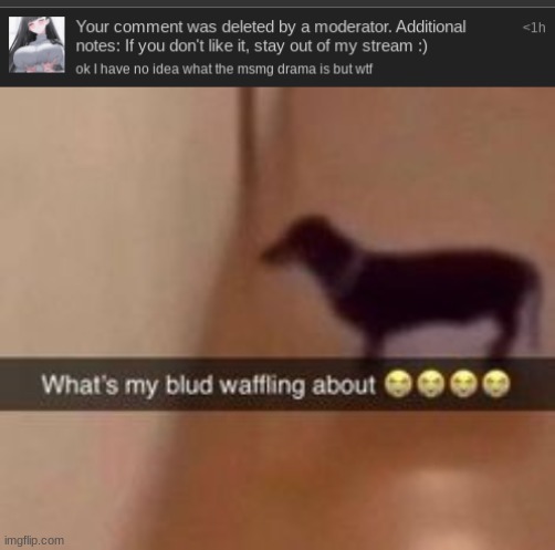 ok i guess that's valid...? | image tagged in what's my blud waffling about | made w/ Imgflip meme maker