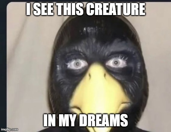 ... | I SEE THIS CREATURE; IN MY DREAMS | image tagged in bird | made w/ Imgflip meme maker