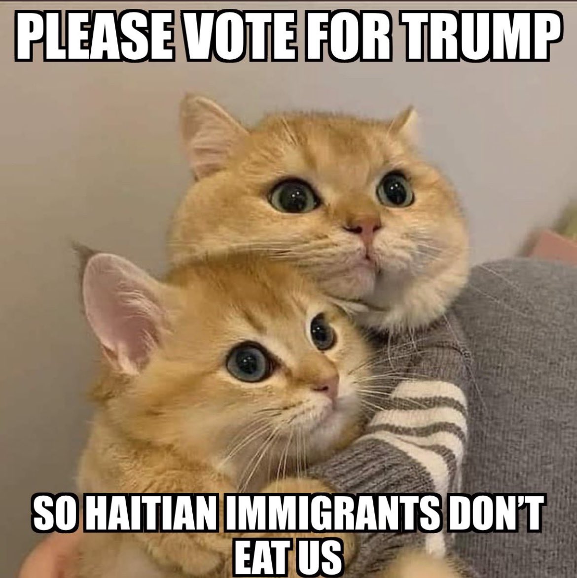 Haitian Immigrants Stealing And Eating Pets In Ohio Blank Meme Template