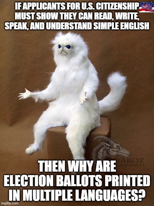 Persian Cat Room Guardian Single | IF APPLICANTS FOR U.S. CITIZENSHIP MUST SHOW THEY CAN READ, WRITE, SPEAK, AND UNDERSTAND SIMPLE ENGLISH; THEN WHY ARE ELECTION BALLOTS PRINTED IN MULTIPLE LANGUAGES? | image tagged in memes,persian cat room guardian single | made w/ Imgflip meme maker