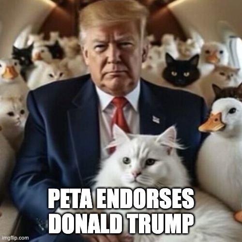 PETA ENDORSES DONALD TRUMP | image tagged in donald trump | made w/ Imgflip meme maker